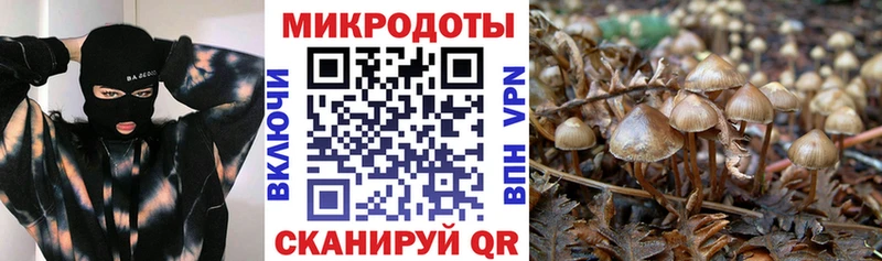 Псилоцибиновые грибы ЛСД Когалым